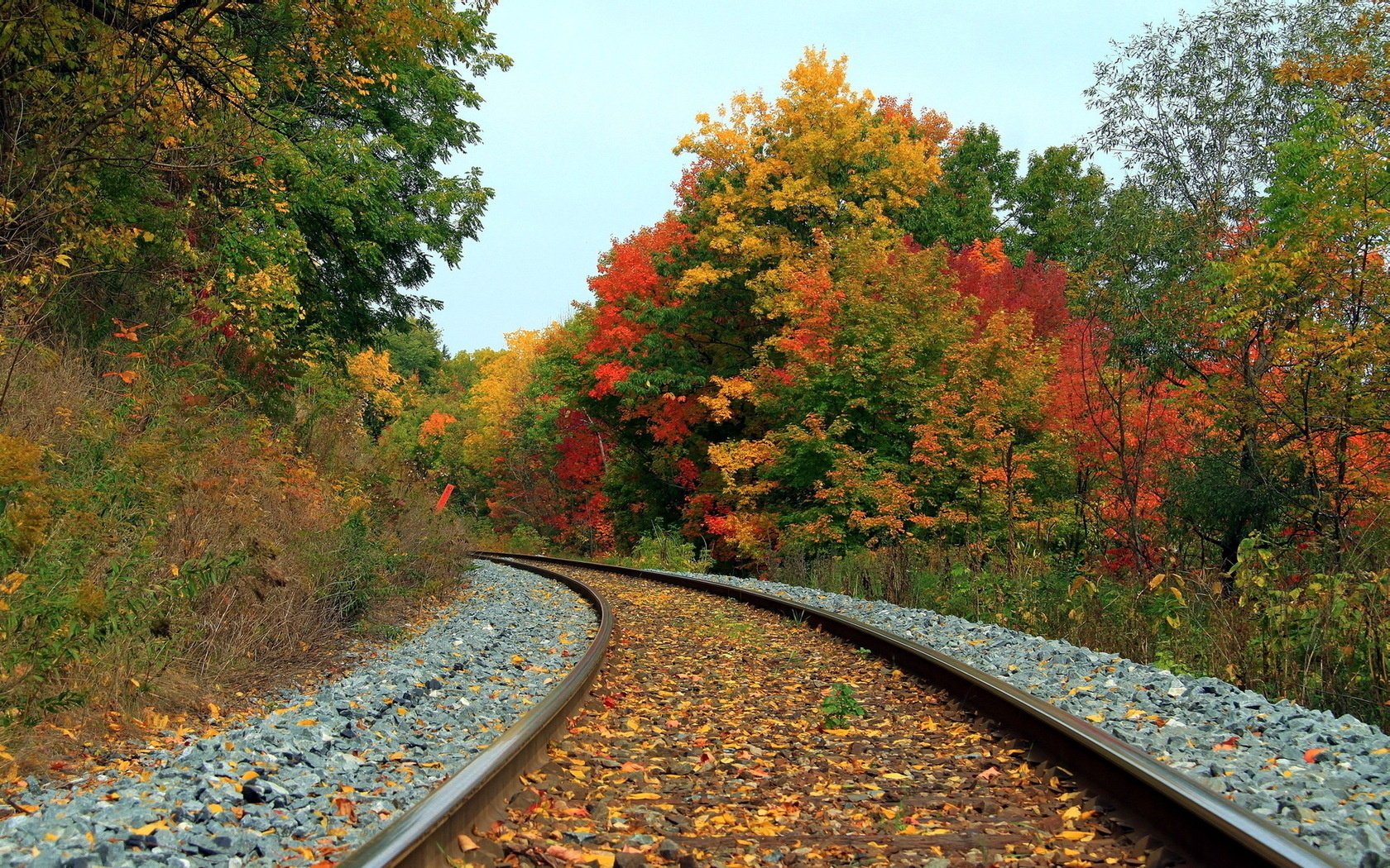 landscape railroad autumn