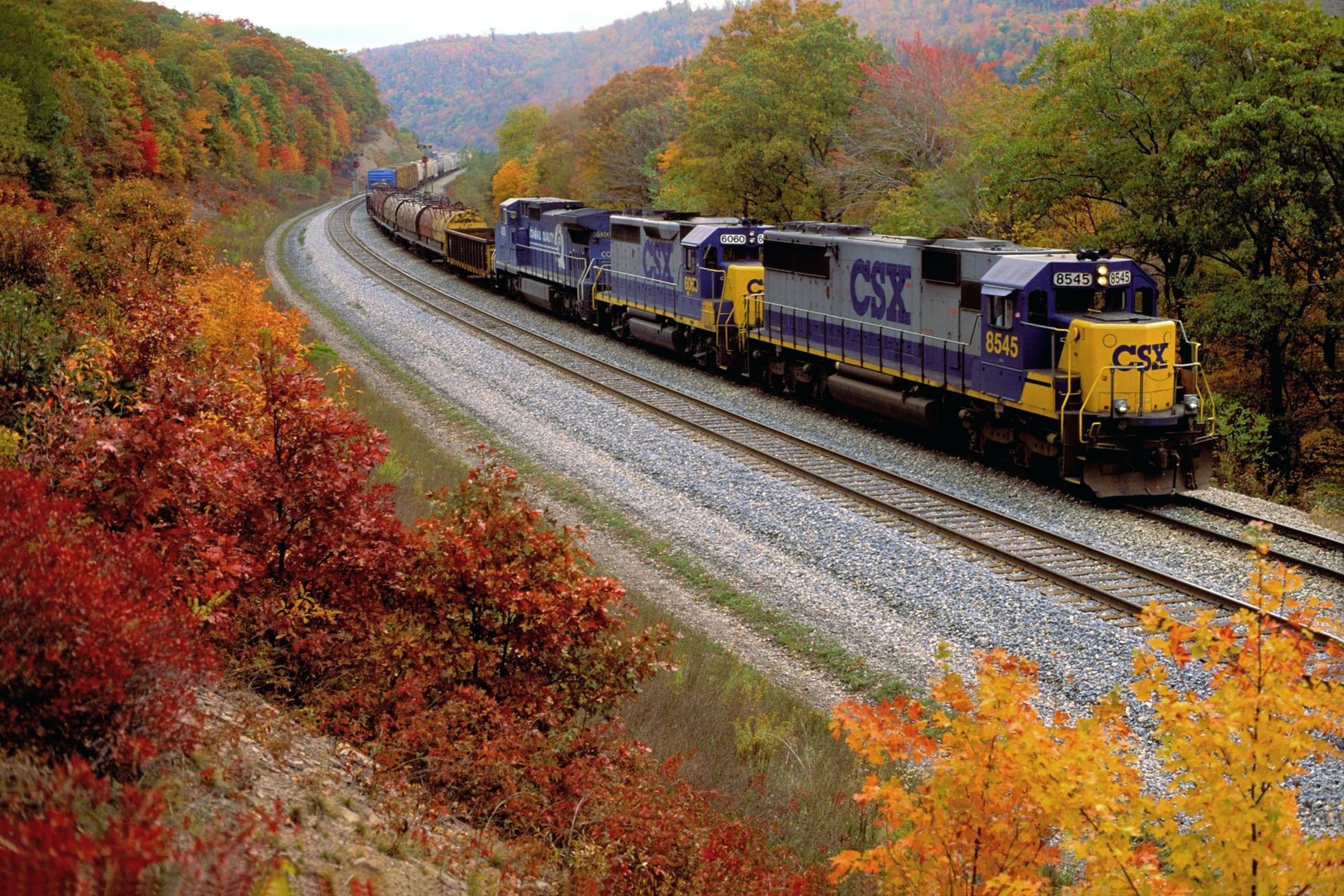 tren otoño carretera hojas