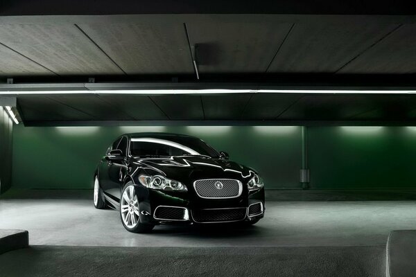 Jaguar dans le garage sous les lampes vertes