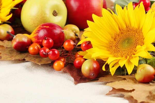 Autumn still life of fruits and flowers