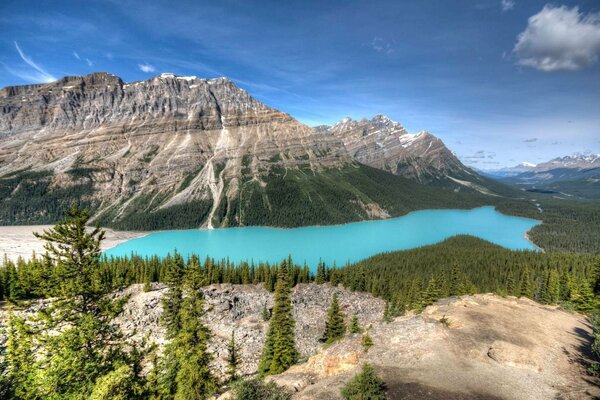 Paysage forestier sur fond de lac bleu et montagnes