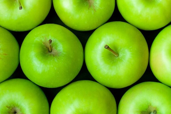 Cosecha de manzanas frescas y verdes