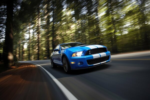 Foto Mustang Shelby gt500 a la velocidad en la carretera en el bosque