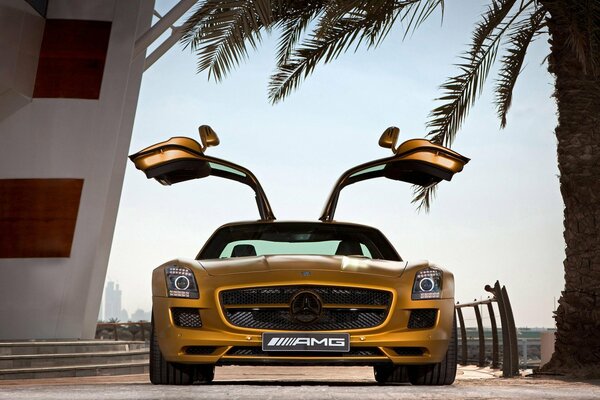 Goldener mercedes Benz sls amg auf dem Hintergrund der Wüste, Palmen, Stufen