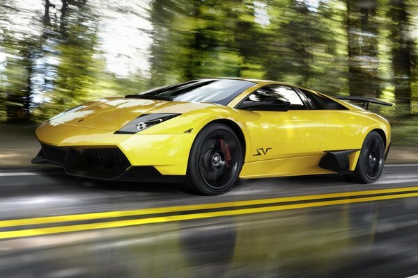 Lamborghini gialla in movimento sulla pista lungo la foresta