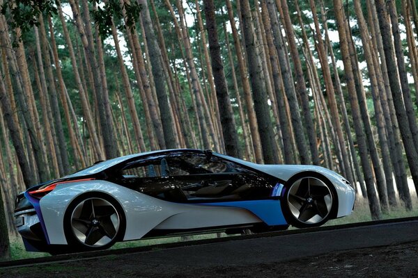 Forest ride in BMW concept