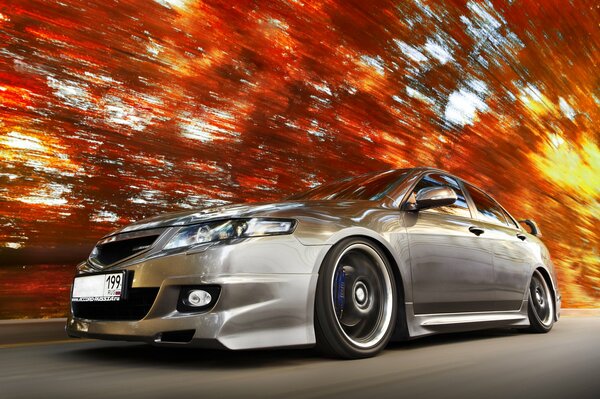 HONDA ACCORD FLIEGT DIE HERBSTSTRAßE UNTER DEN BLÄTTERN ENTLANG