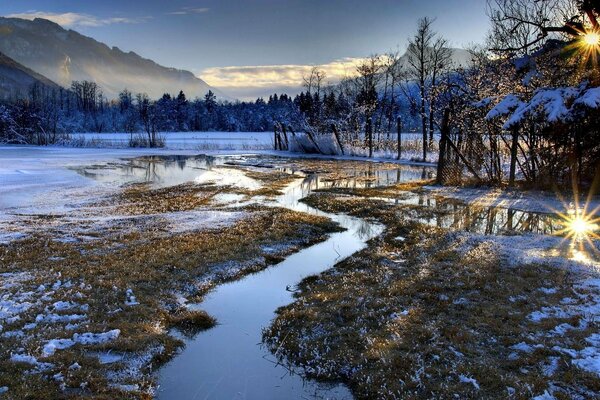 Cancro e alberi cosparsi di neve e illuminati dal sole sullo sfondo delle montagne