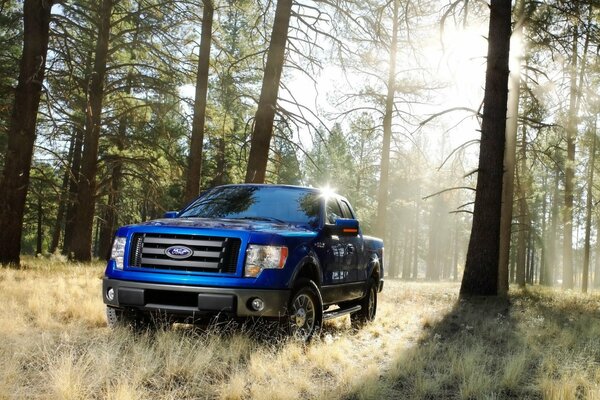 Camioneta Ford azul en el bosque