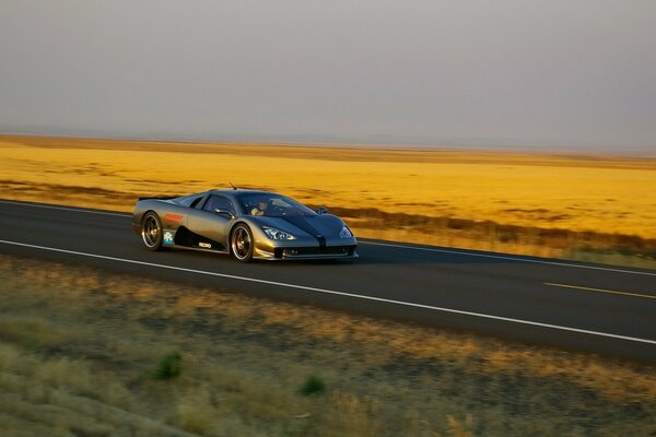 Coche en movimiento en la carretera con el fondo