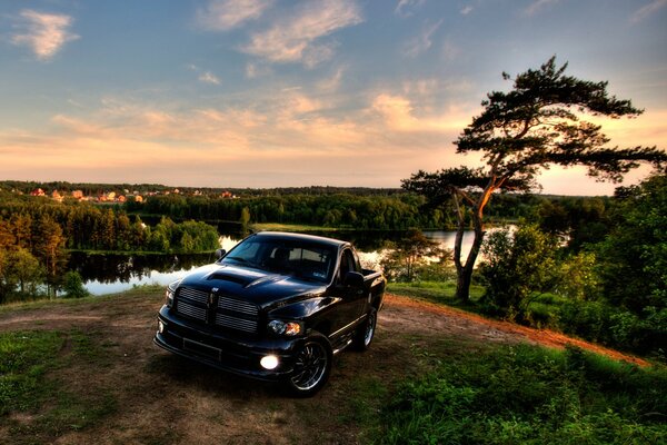 LANDSCAPE WITH TREES AND A BLACK PICKUP TRUCK