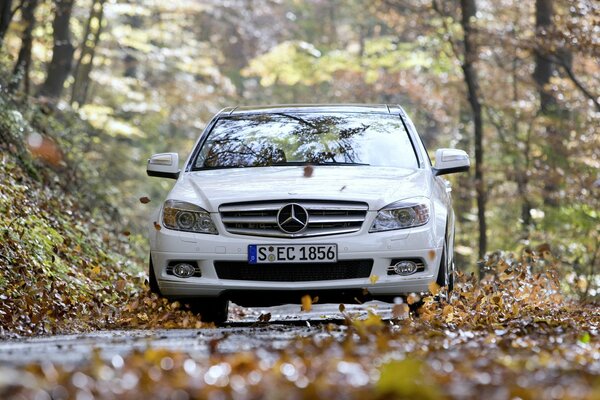 Mercedes-Denz C350 auf der Straße mit Laub