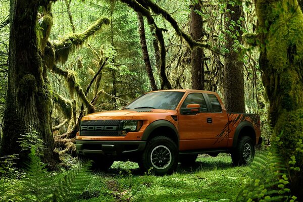 Camioneta Ford naranja en el bosque verde