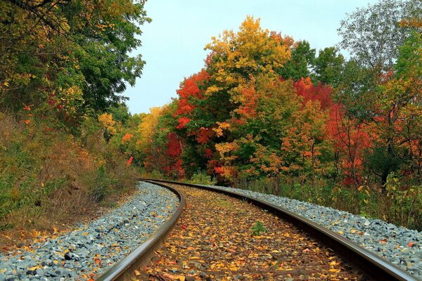 Paisaje de otoño en el ferrocarril