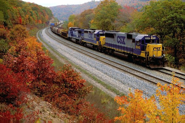 La locomotora que sale en el horizonte de otoño D