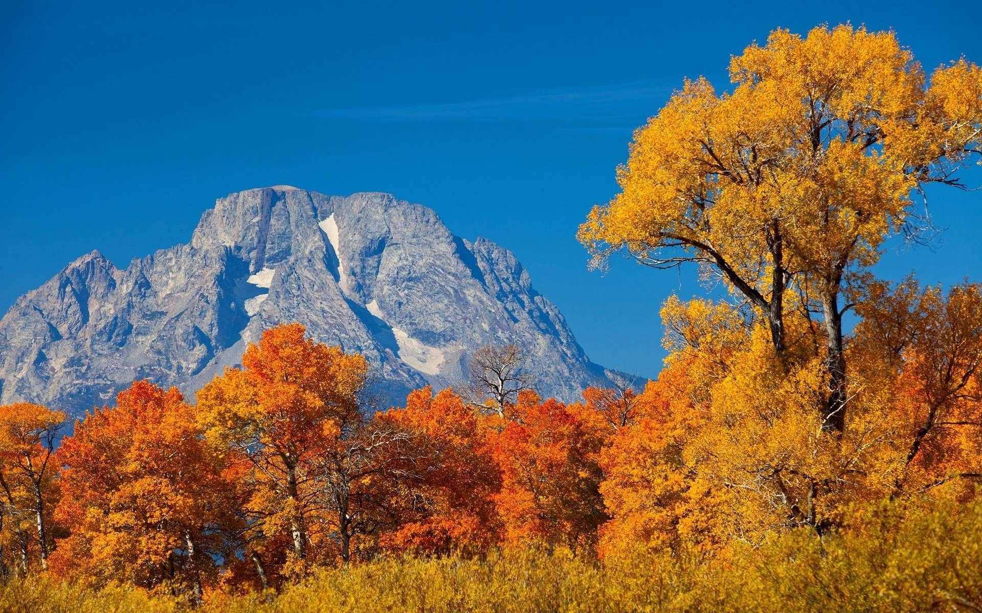 nature mountains forest