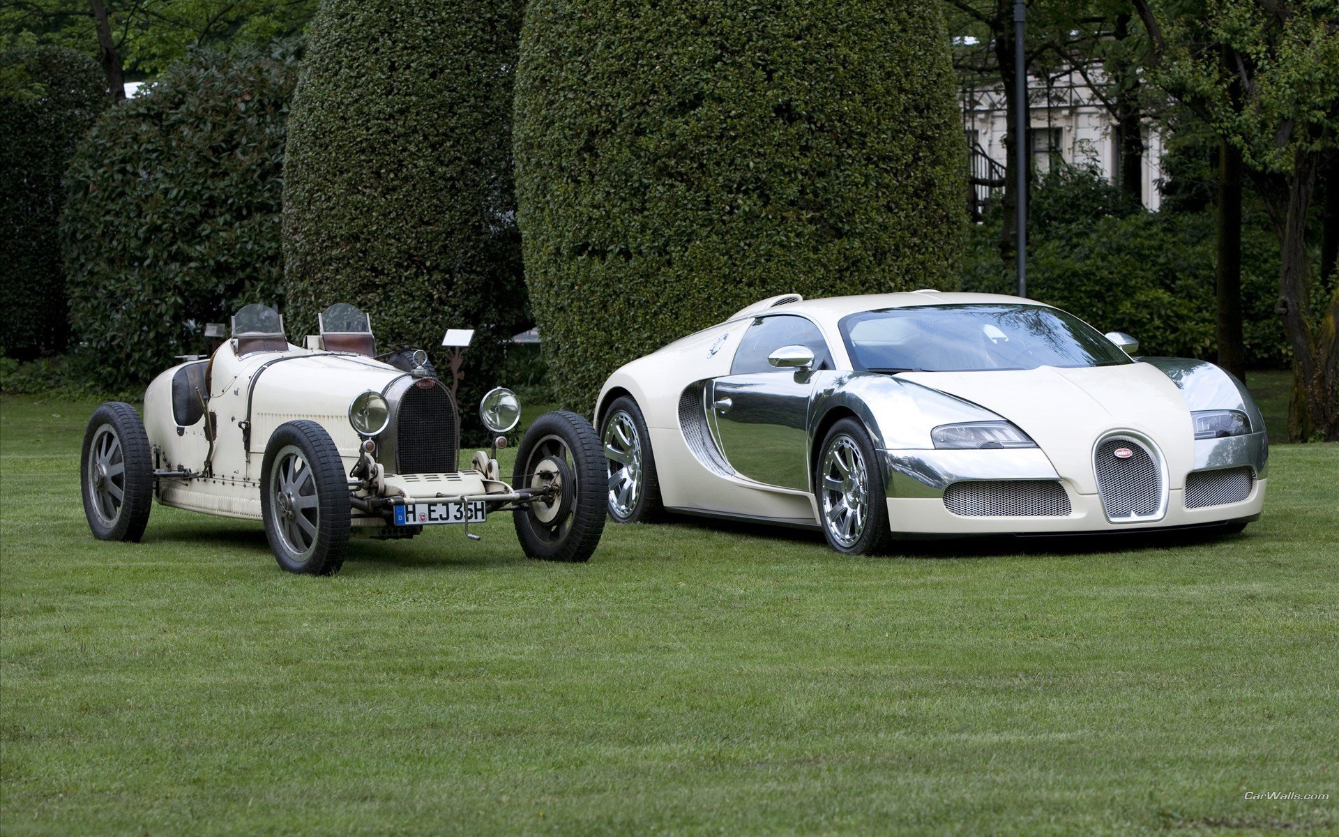 bugatti veyron bianco