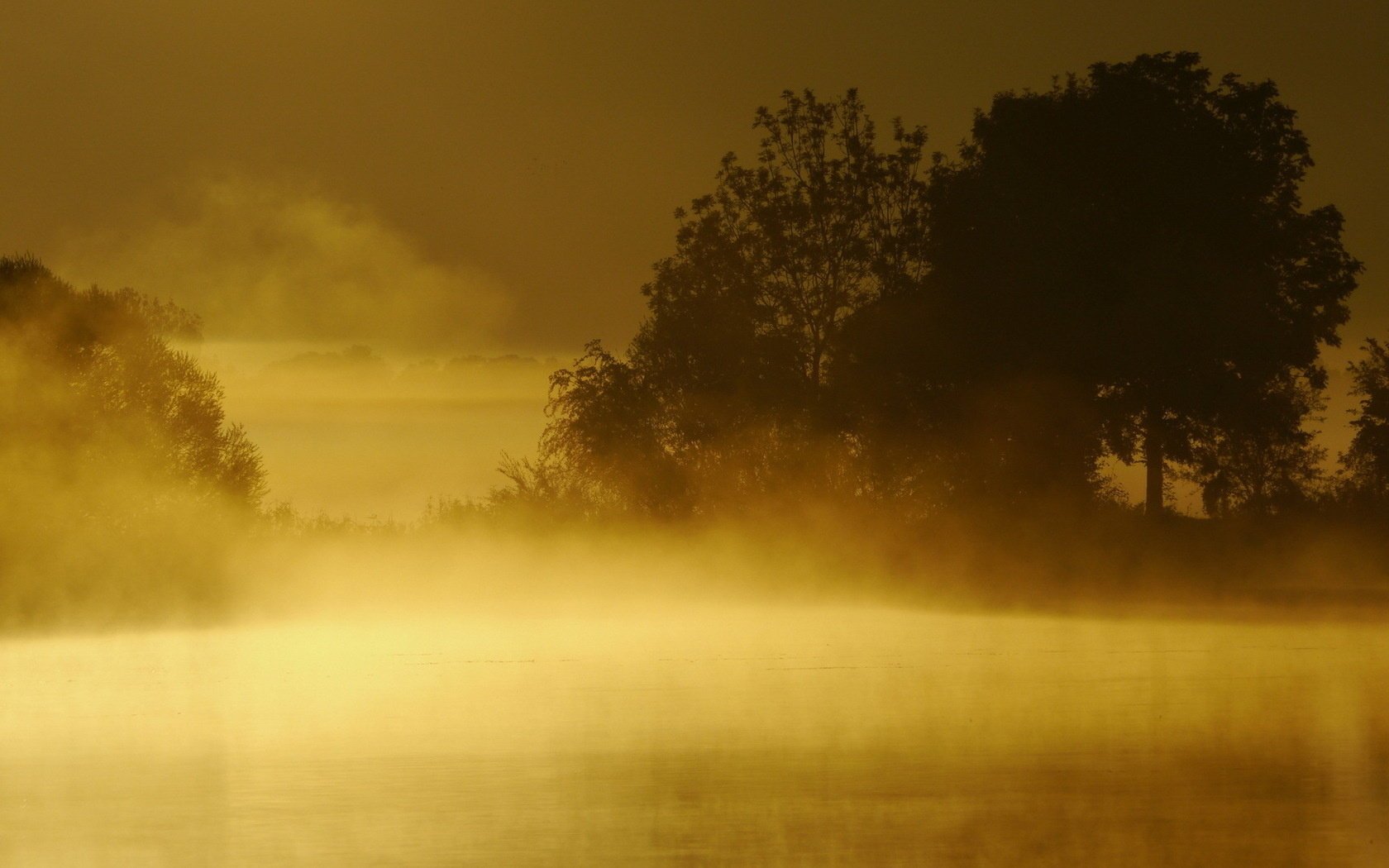 fog sunset lake landscape