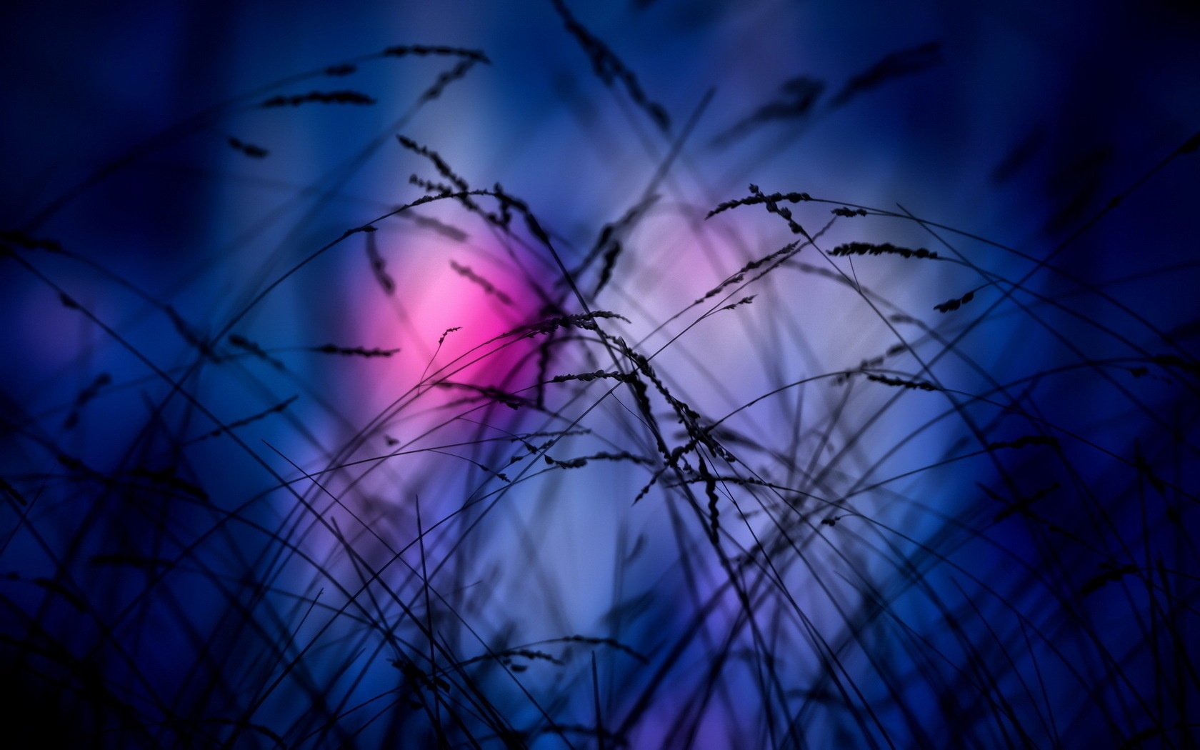 grass night background