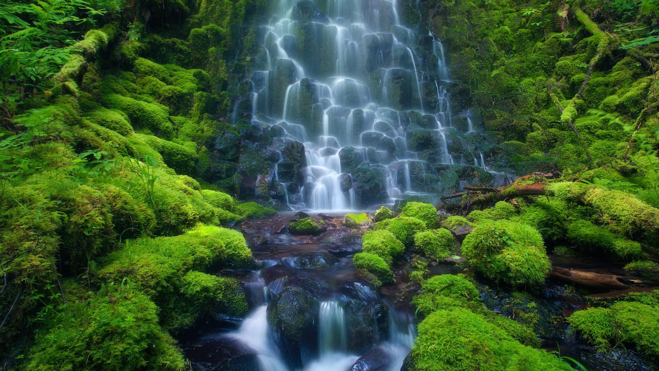 cascata cascata muschio