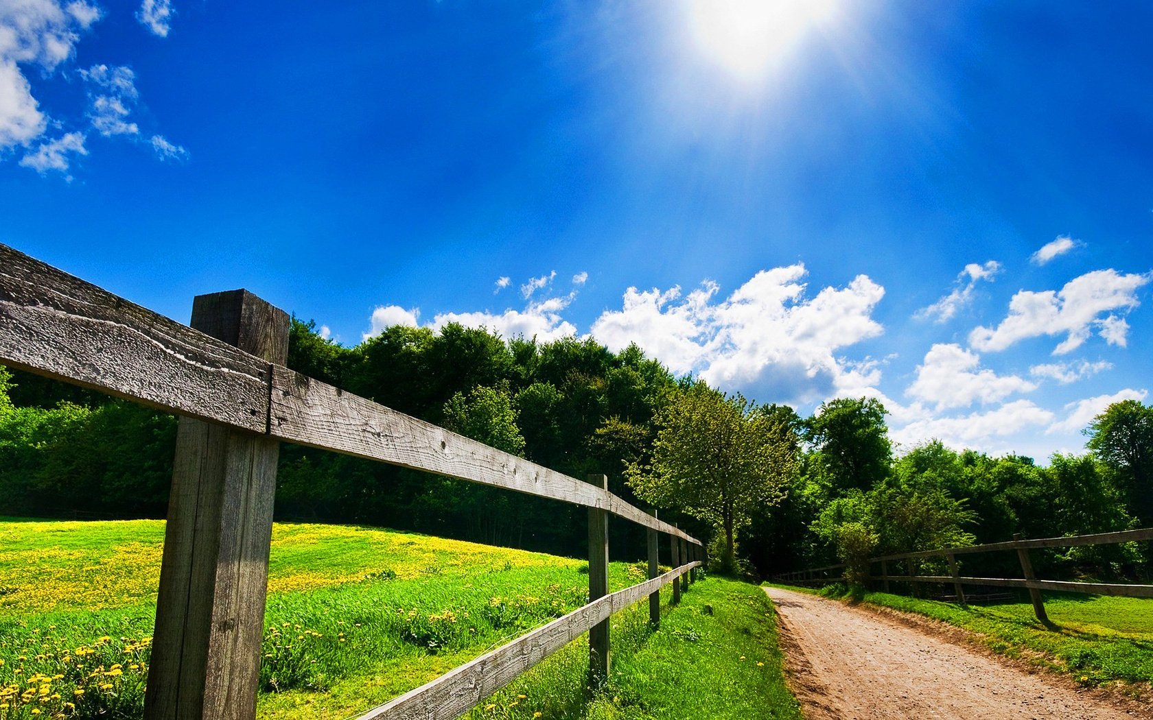 zaun schönheit landschaft straße sommer