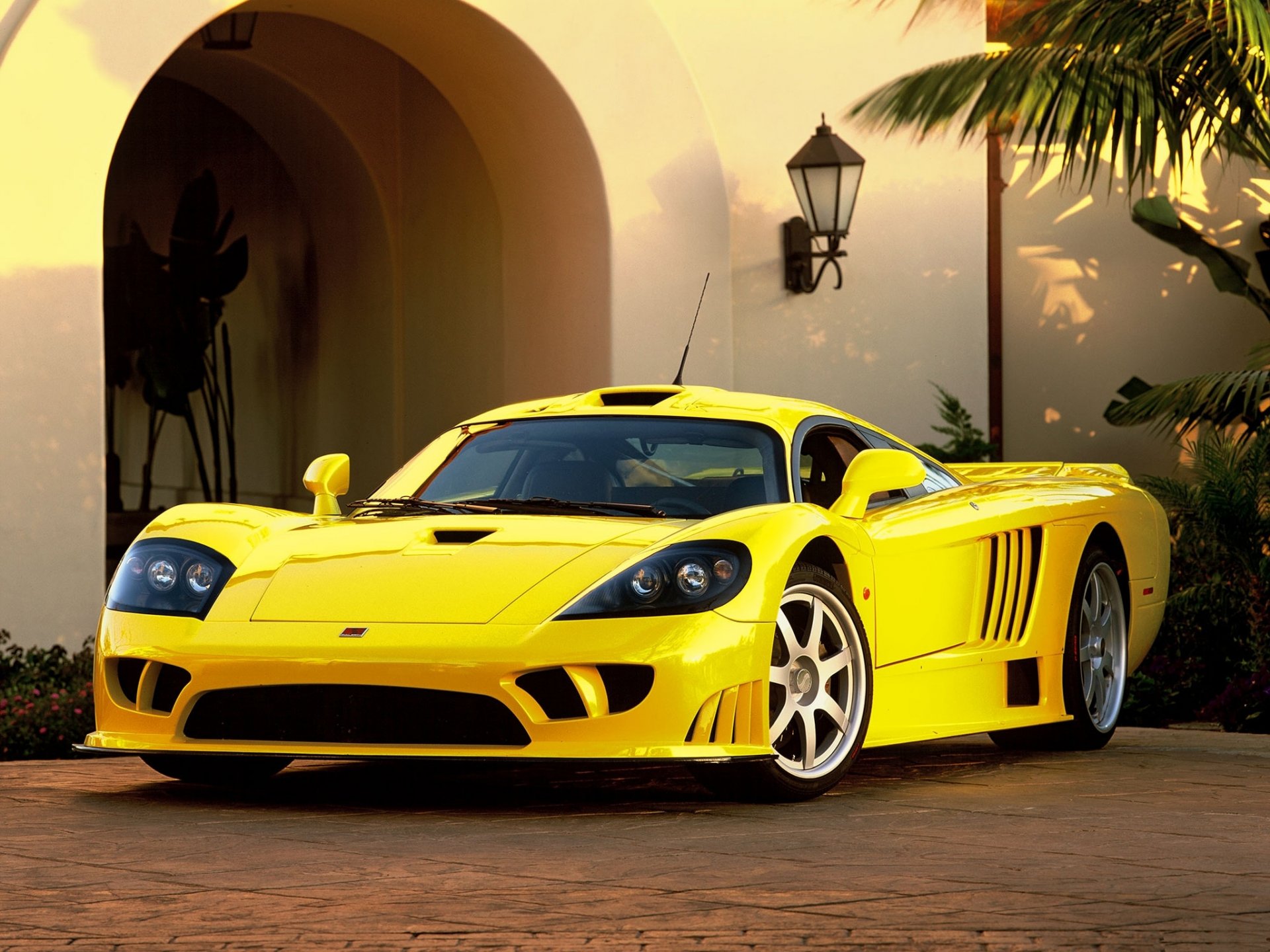 aleen yellow sport