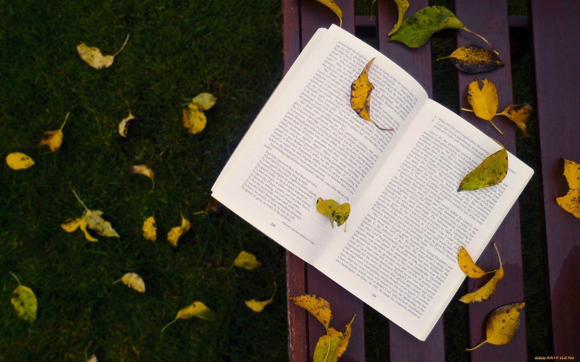 livre feuilles