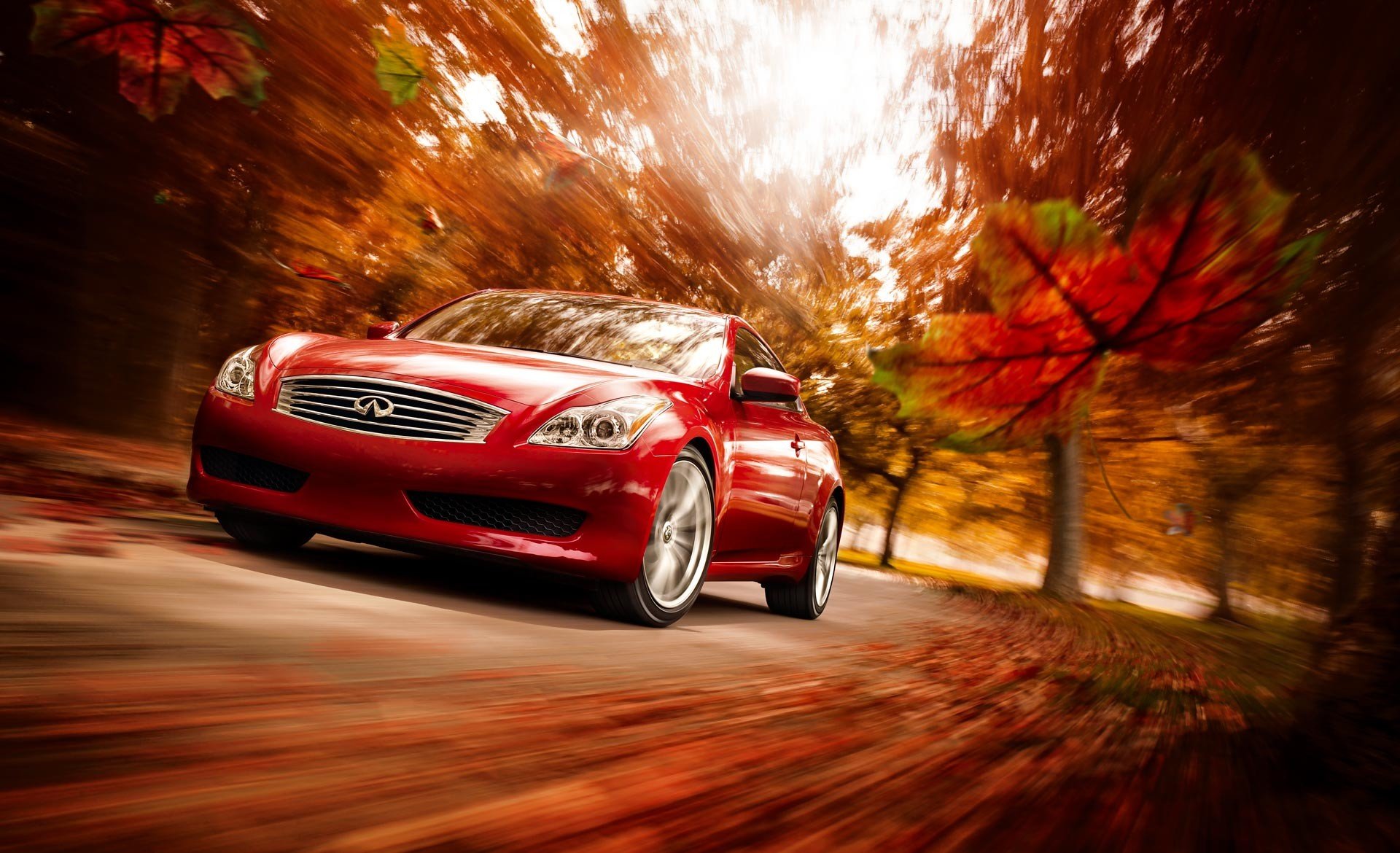 infiniti rojo otoño