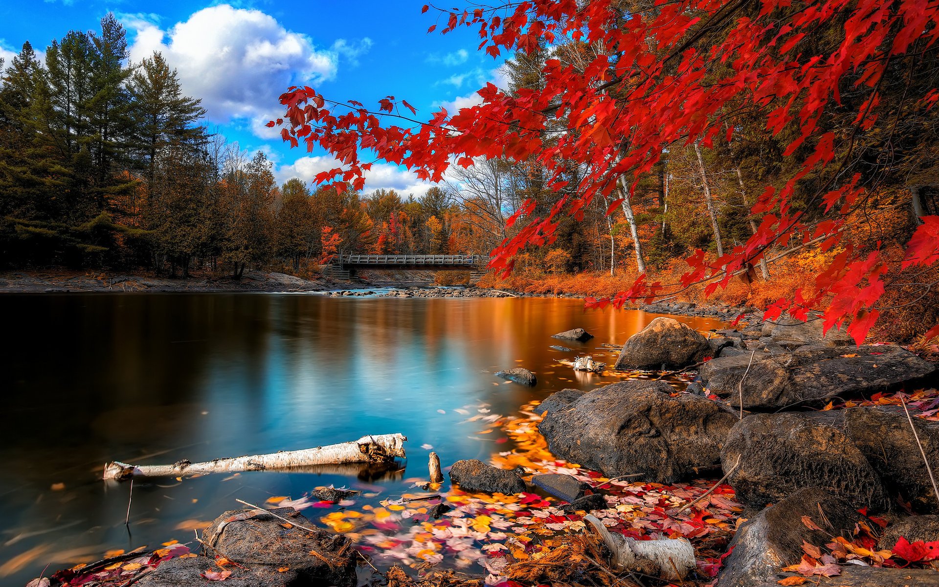 brücke fluss steine herbst bäume