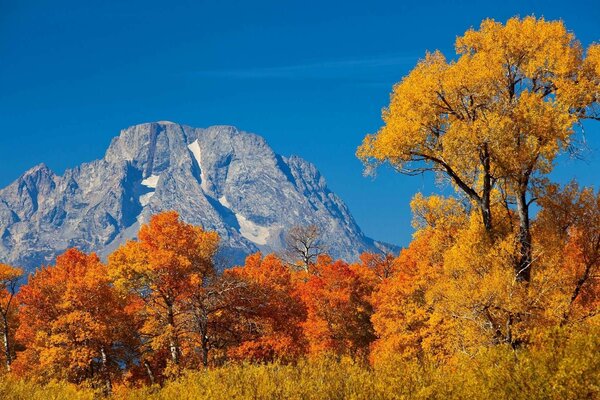 Paisaje de otoño en las tierras altas