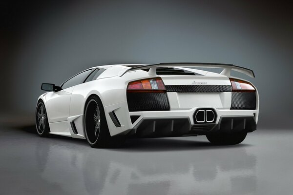 White Lamborghini car rear view