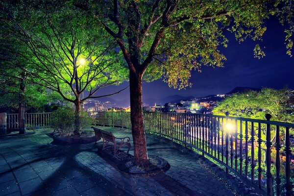 Parc de nuit avec lumières et clôture