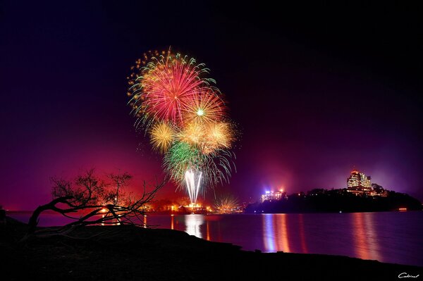 Fuegos artificiales en la orilla del lago por la noche