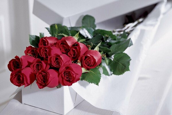 Bouquet of roses as a gift on a white background