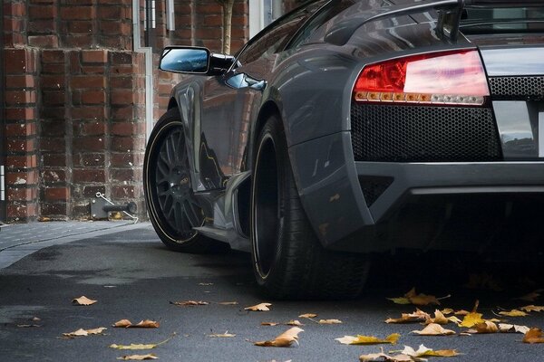 A black car is parked on a street covered with leaves