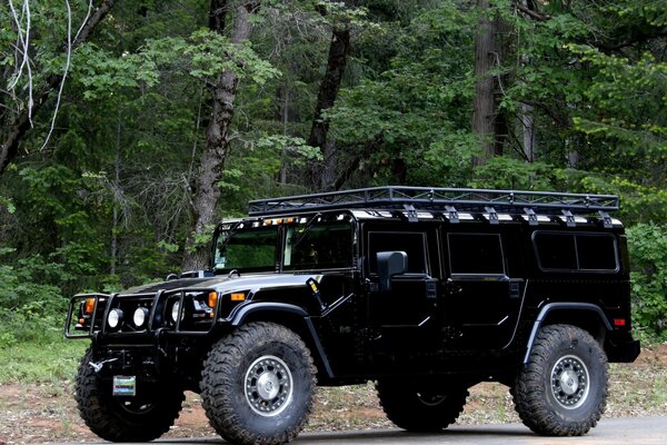 Coche krasovets Hummer cerca del bosque