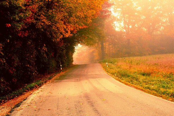 Herbststraße an einem nebligen Morgen