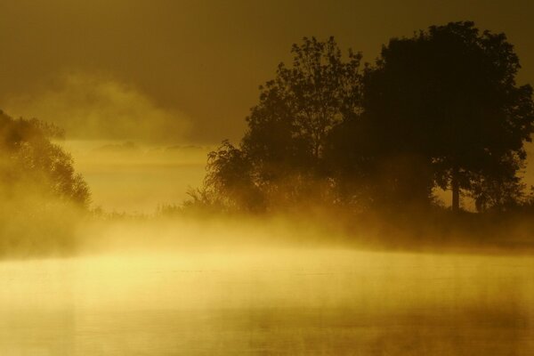 Misty lake landscape at sunset