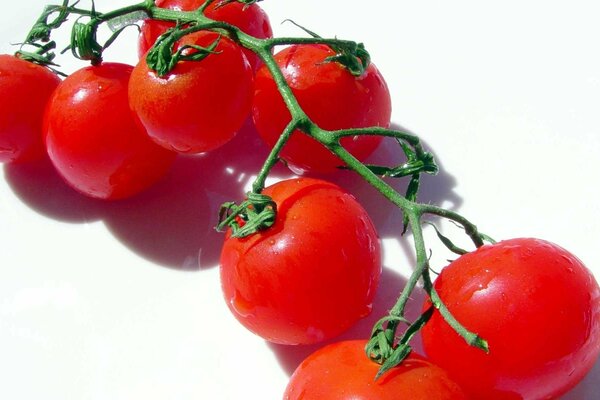 Красные томаты Черри
