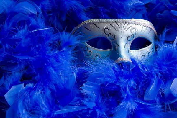 Maschera di Carnevale che fa capolino dalle piume blu