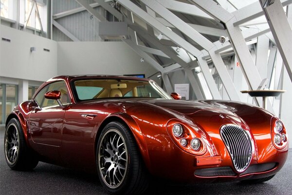 A magnificent jaguar with interior tuning