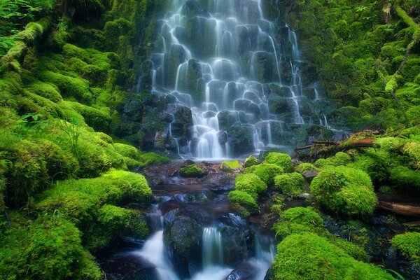 Kaskada wodospadów z zieloną roślinnością