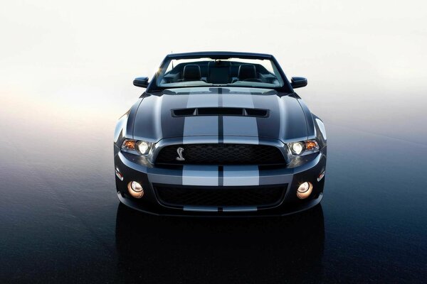 Frontal image of a car with a cobra of asphalt color