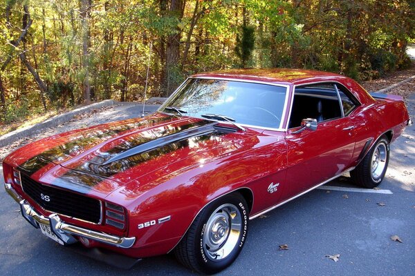 Camaro rojo en el bosque contra los árboles