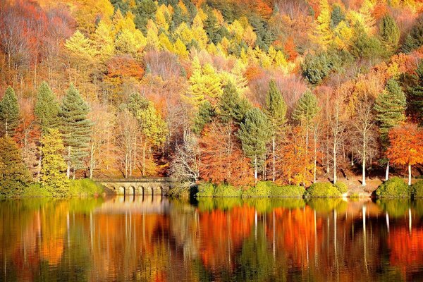 Natura incredibilmente bella: il lago è uno specchio naturale