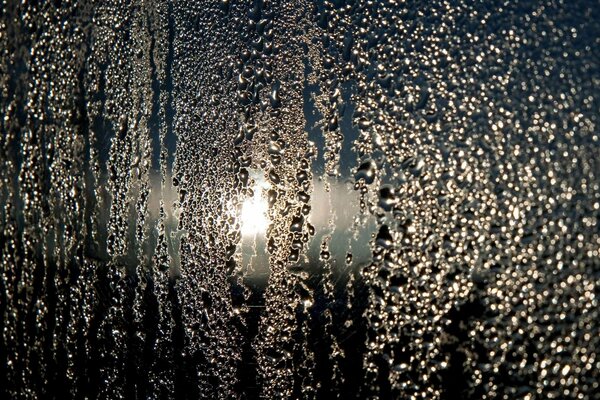 Gotas en el cristal iluminadas por el sol