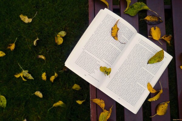 Un libro cubierto de hojas de otoño