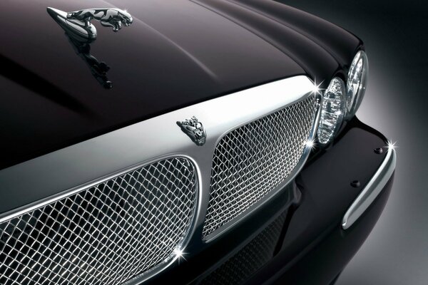 Cool logo on the jaguar grille