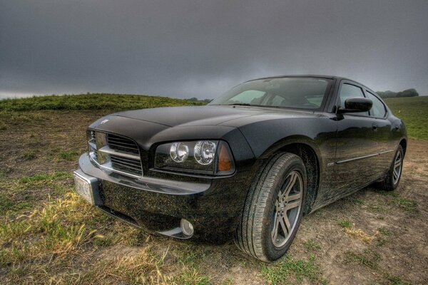 Stylish black car in the field