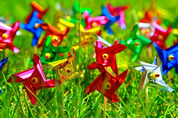 Windmill toys stand on the grass